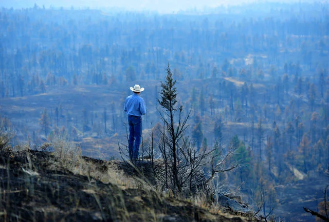 "Tim Weyer tours his ranch, which was consumed by wildfires, Tuesday, in Sand Springs, Mont. Firefighters say they have stopped most of the growth and gained 20 percent containment on the fires that were started last week by lightning." Credit - Associated Press