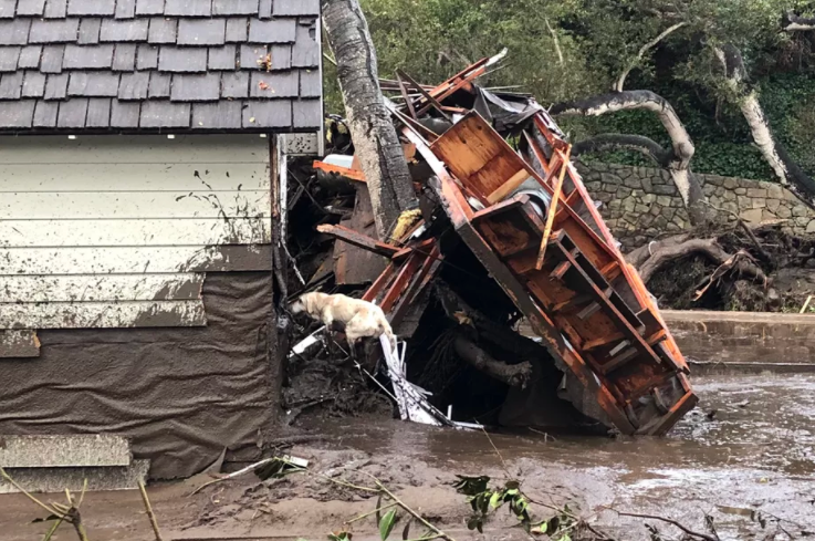 "Santa Barbara County Fire search dog Reilly looks for people trapped in the debris left by devastating mudslides in Montecito, California." Credit: Mike Eliason/Santa Barbara County Fire