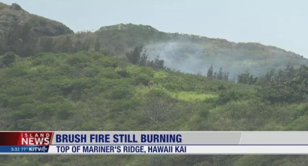 Credit: KITV4