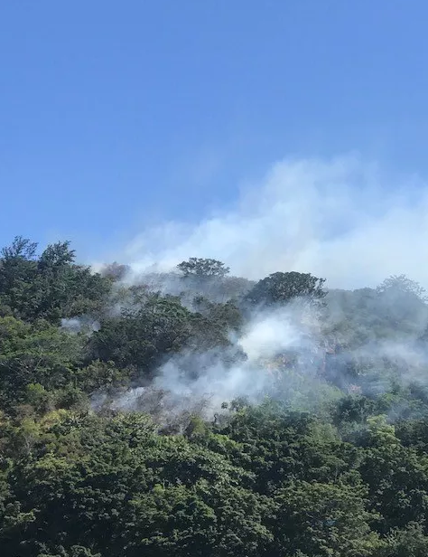 "Honolulu fire responded to a brush fire in Waimea Valley on Tuesday. (Image: Sunny Platt)"
