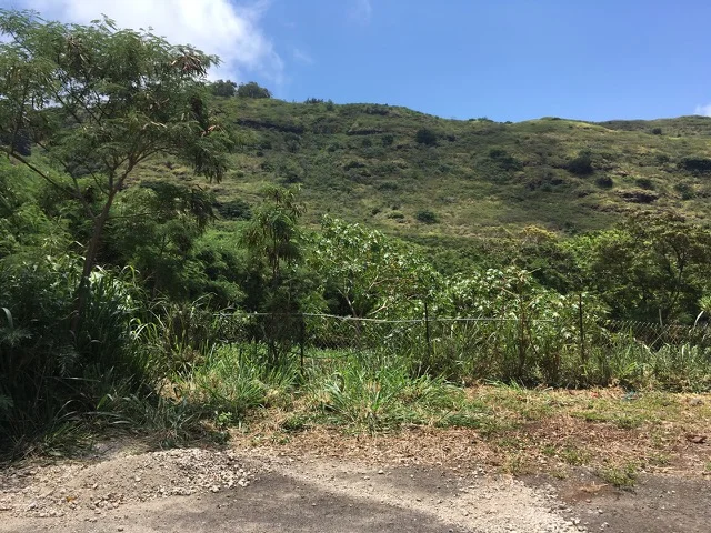Before of Target Area 1