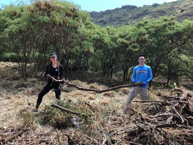 Senator Stanley Chang and Janae teaming up against a particularly heavy tree trunk.