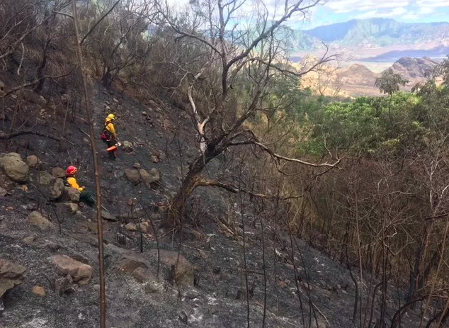 Makaha Valley fire that burned precious native forest. Credit: Dr. Clay Trauernicht