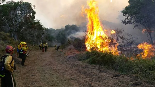 Firefighters battle the brush fire on Monday evening at Hawaii Volcanoes National Park. Credit: Hawaii Volcanoes National Park