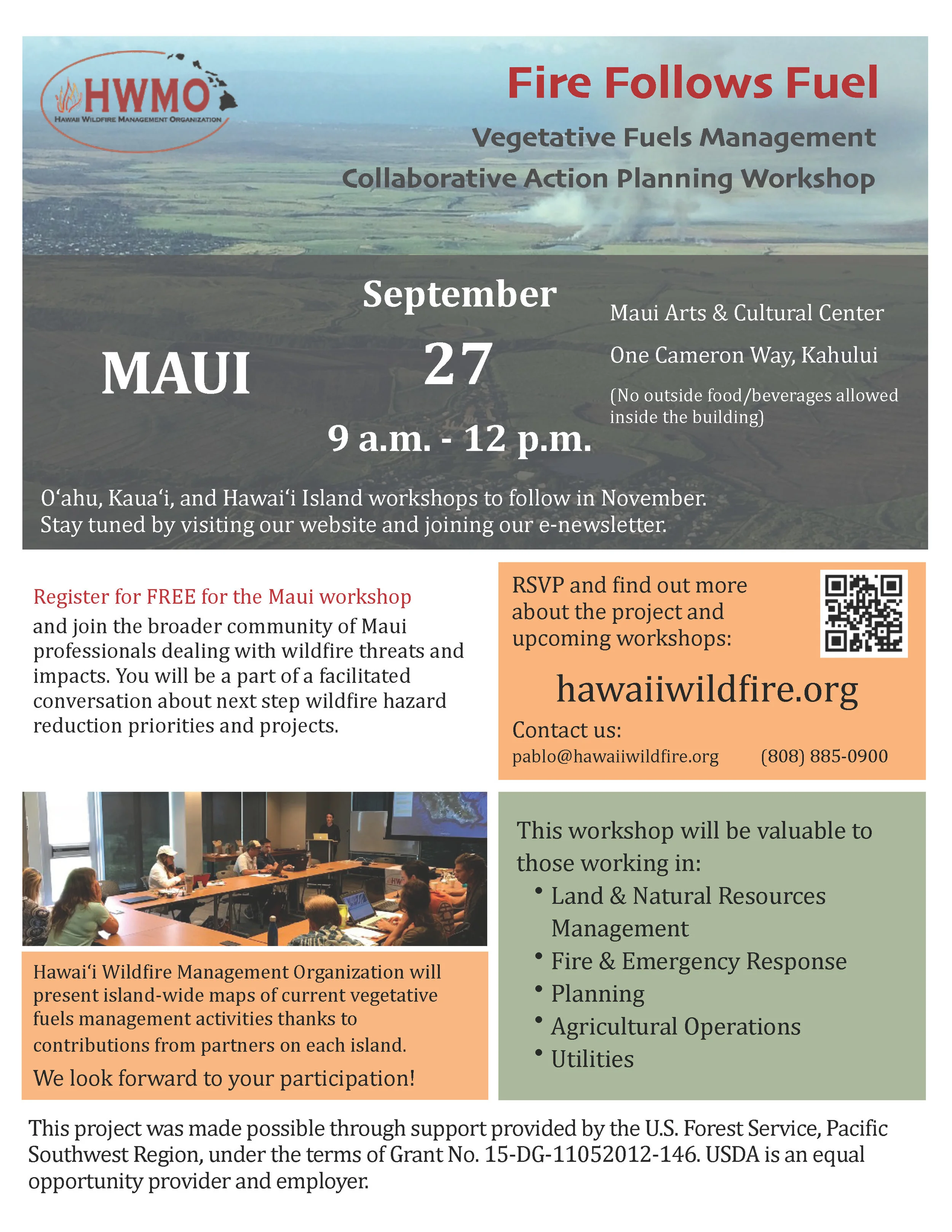 Maui Vegetative Fuels Management Collaborative Action Planning