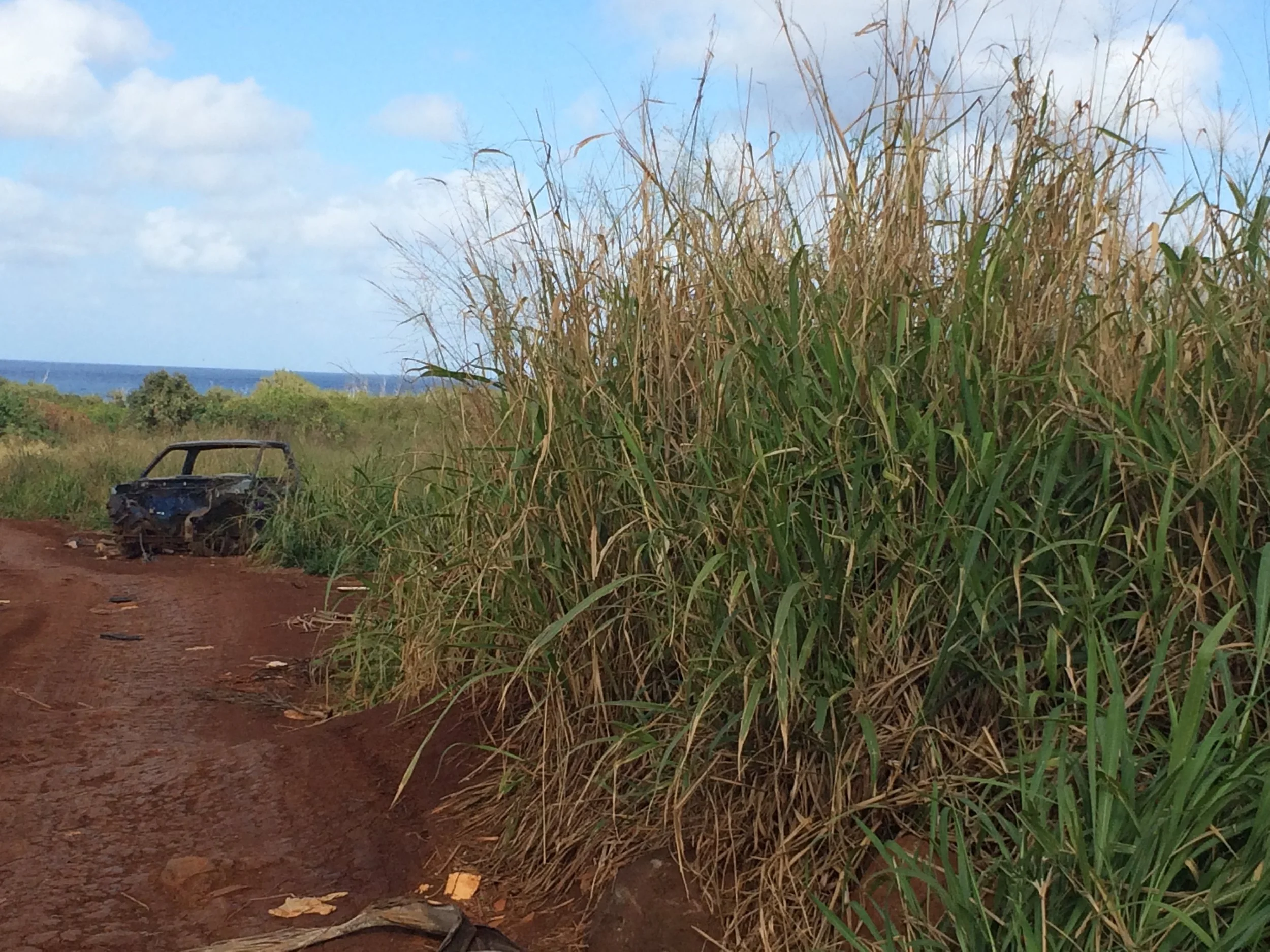 Flammable fuels on Kauai.