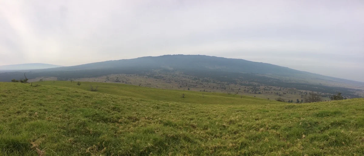 View of Hualalai from Puuwaawaa