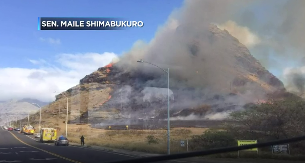 Footage from Senator Maile Shimabukuro broadcasted on Hawaii News Now.