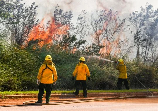 “Department of Agriculture Forestry Division employees battle a wildland fire that tries to break through the trees and brush lining the road leading to LeoPalace Resort Guam on Tuesday, March 5, 2019.” Credit: Rick Cruz/PDN