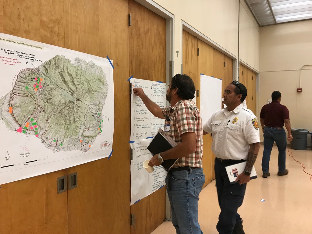 Kauai Vegetative Fuels Management Collaborative Action Planning Workshop_2_21_2019_27.jpg