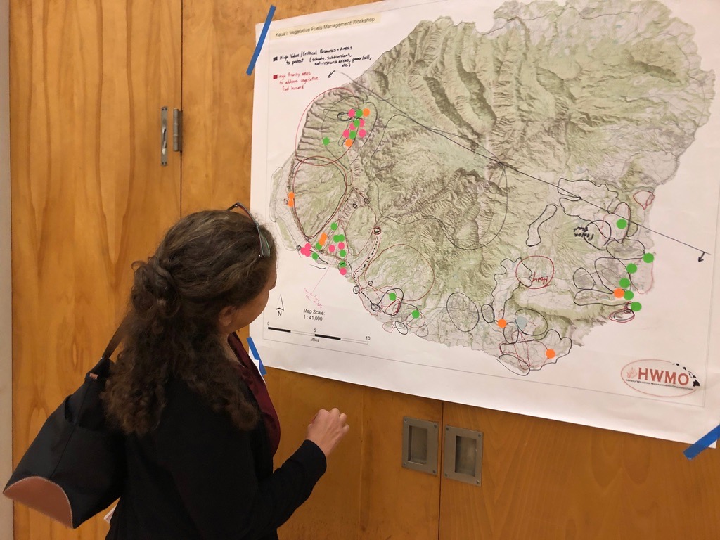 Kauai Vegetative Fuels Management Collaborative Action Planning Workshop_2_21_2019_31.jpg