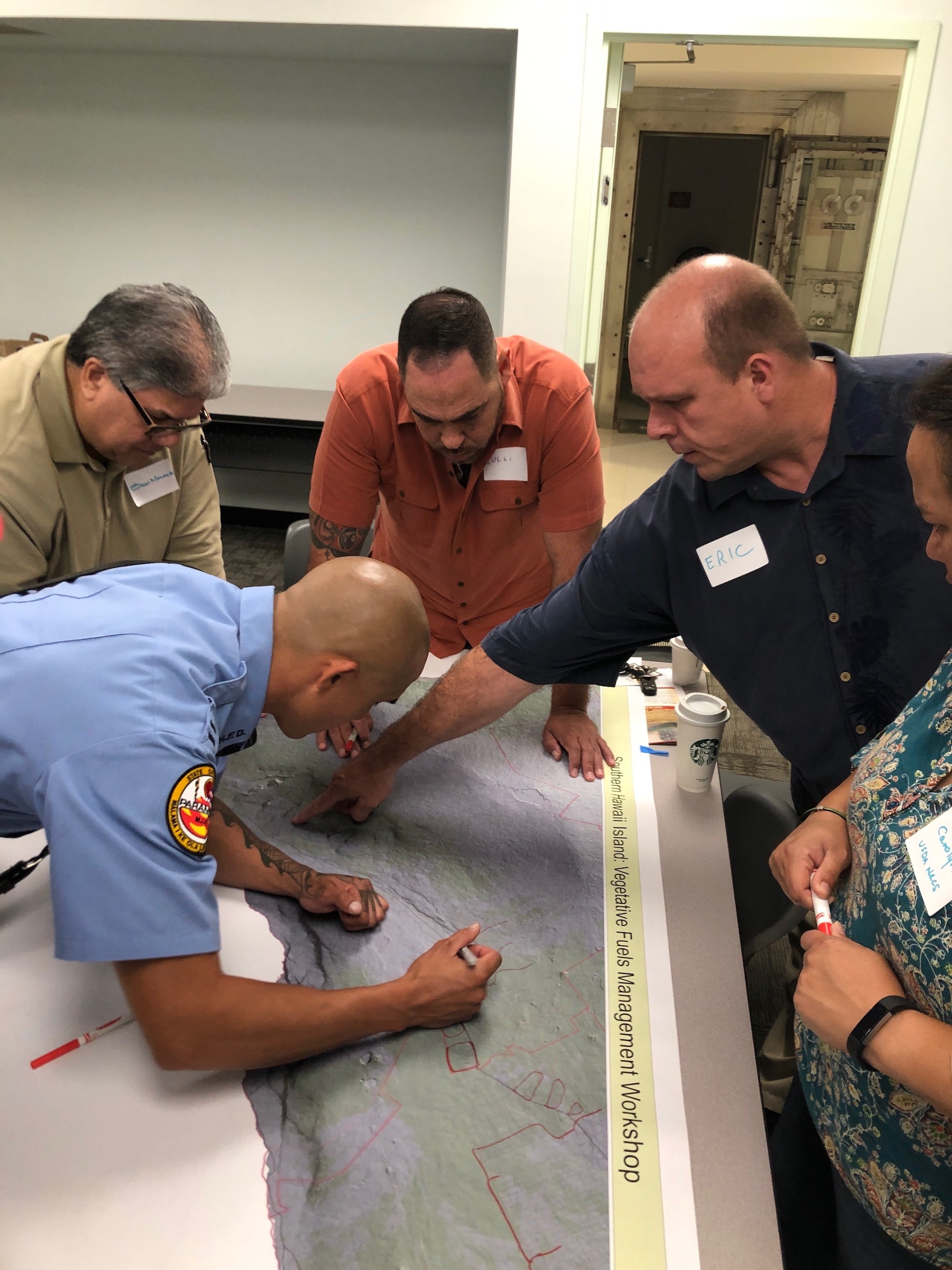 Hawaii Island Hilo Vegetative Fuels Management Collaborative Action Planning Workshop_2_22_2019_6.jpg