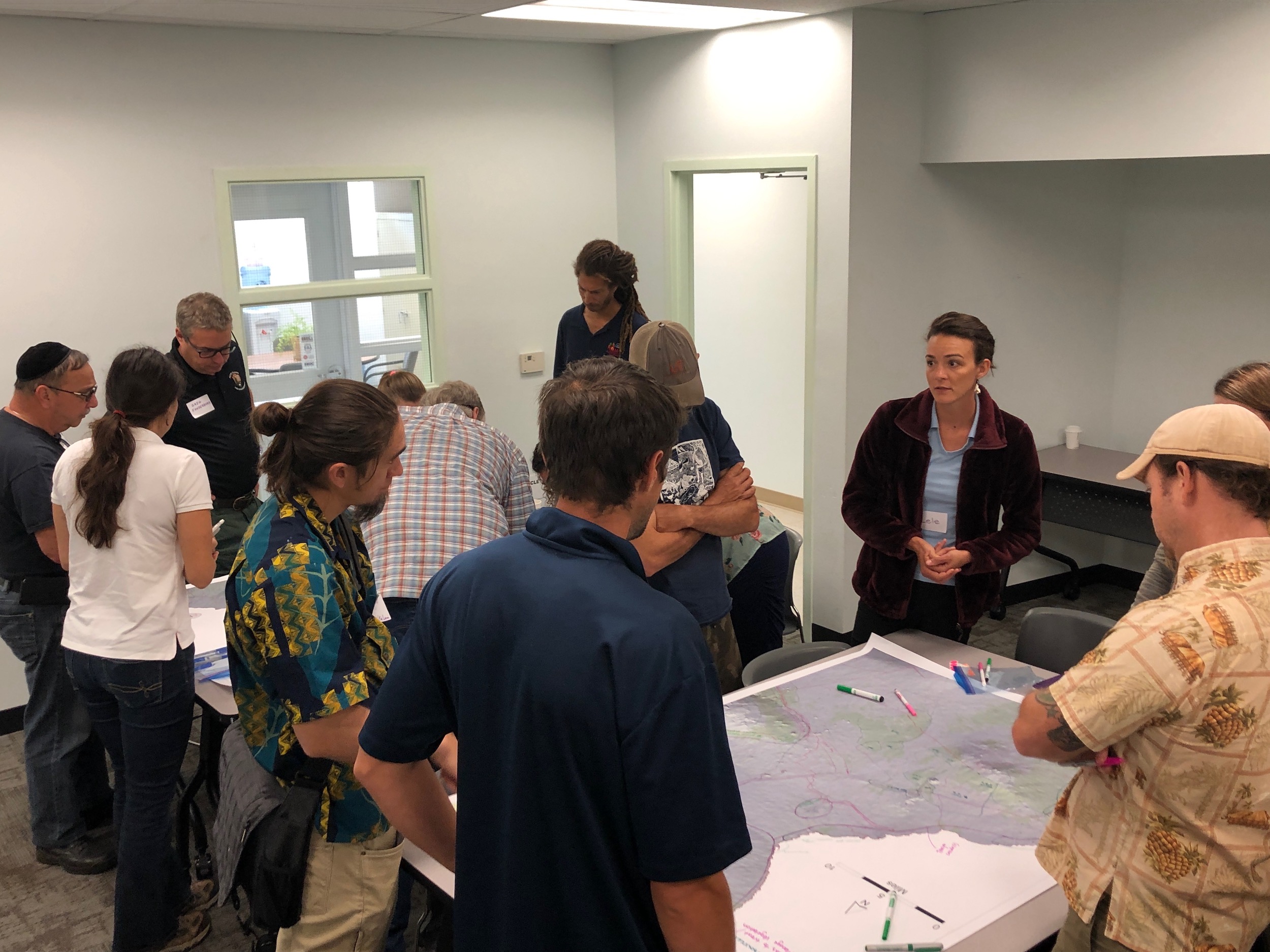 Hawaii Island Hilo Vegetative Fuels Management Collaborative Action Planning Workshop_2_22_2019_14.jpg