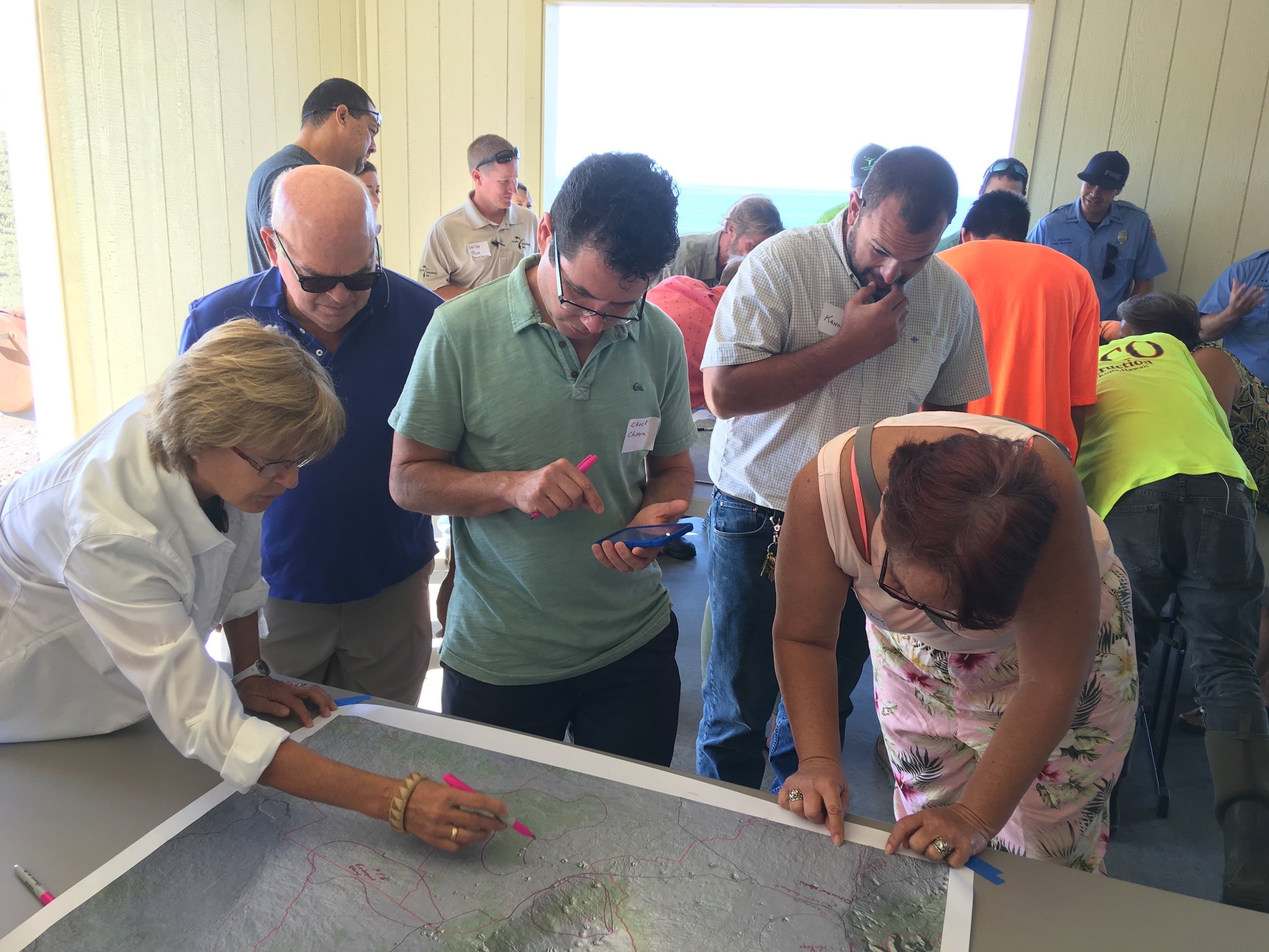 Hawaii Island Kailapa Vegetative Fuels Management Collaborative Action Planning Workshop_2_26_2019_24.jpg