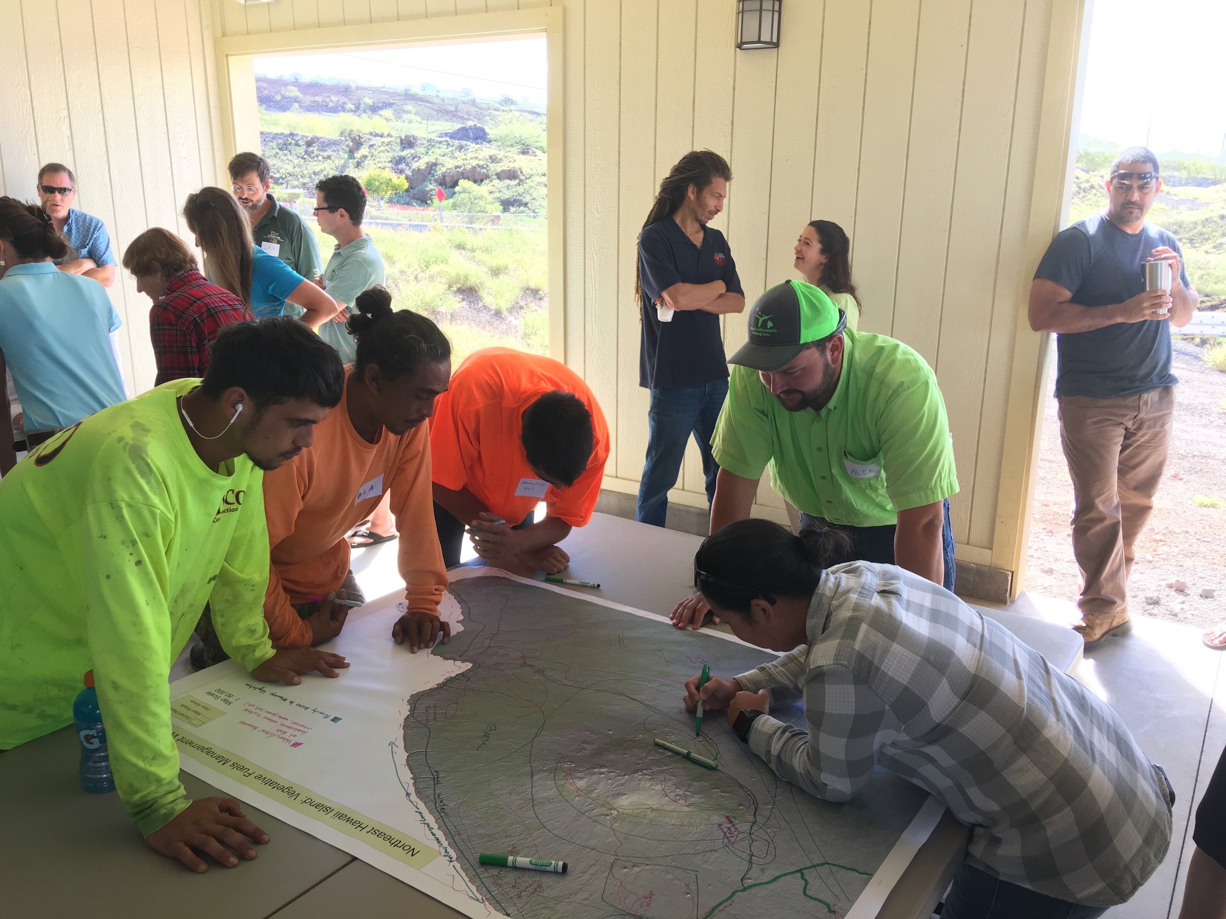 Hawaii Island Kailapa Vegetative Fuels Management Collaborative Action Planning Workshop_2_26_2019_27.jpg