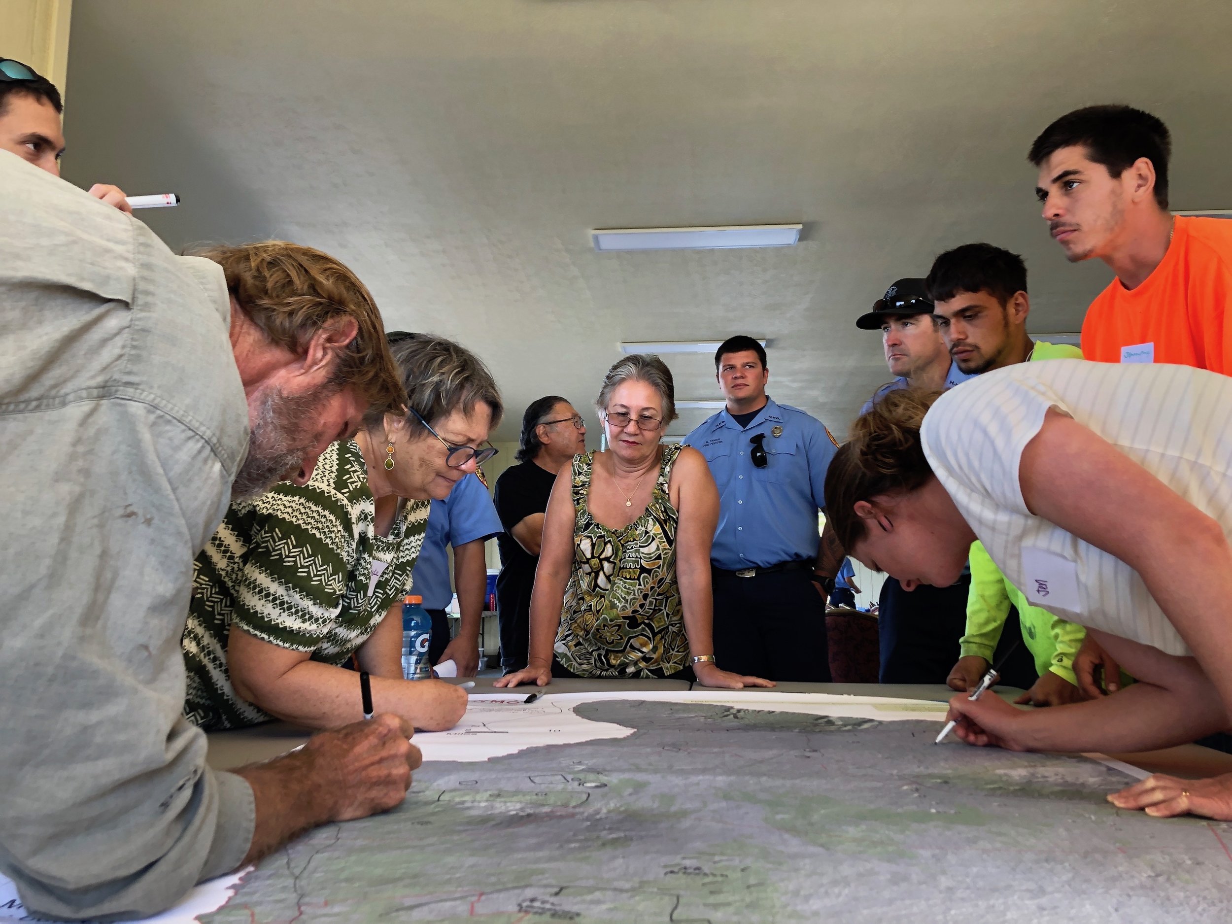 Hawaii Island Kailapa Vegetative Fuels Management Collaborative Action Planning Workshop_2_26_2019_29.jpg