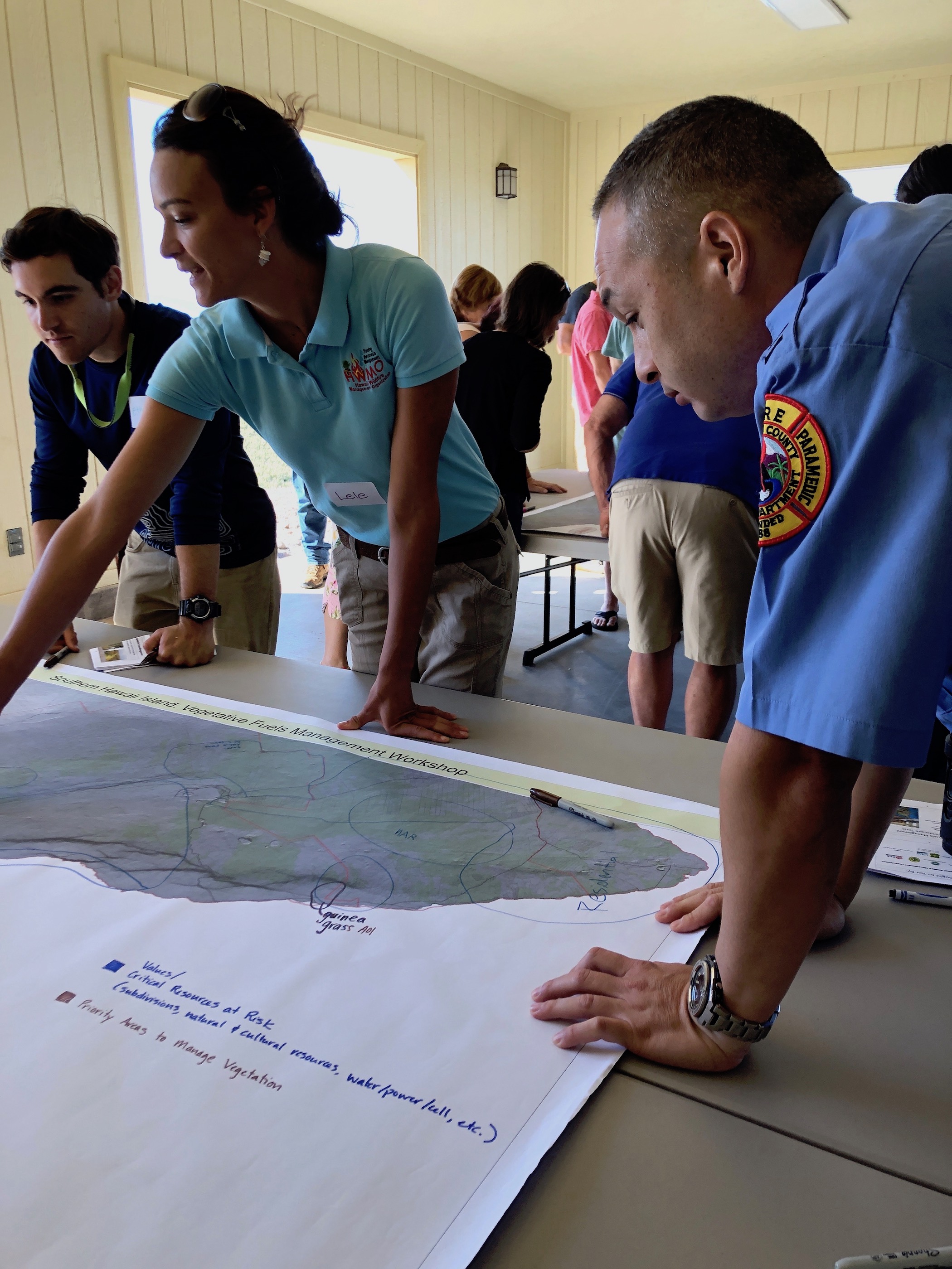Hawaii Island Kailapa Vegetative Fuels Management Collaborative Action Planning Workshop_2_26_2019_35.jpg