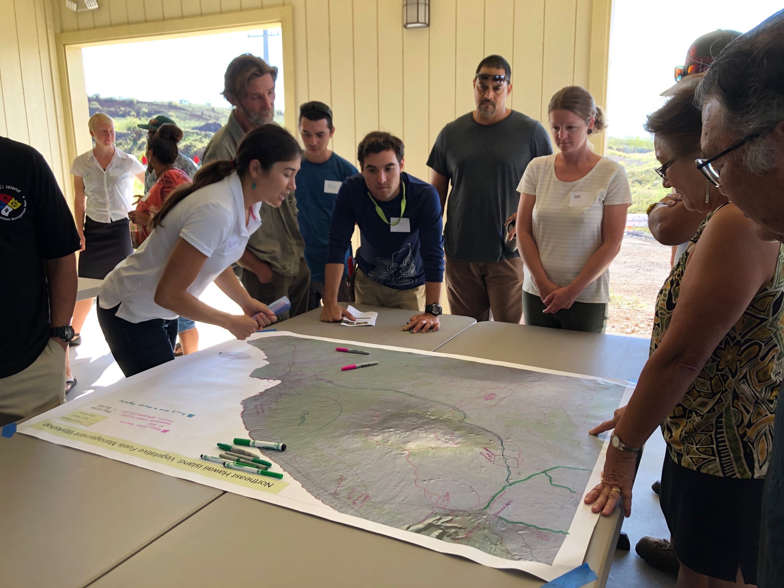 Hawaii Island Kailapa Vegetative Fuels Management Collaborative Action Planning Workshop_2_26_2019_37.jpg