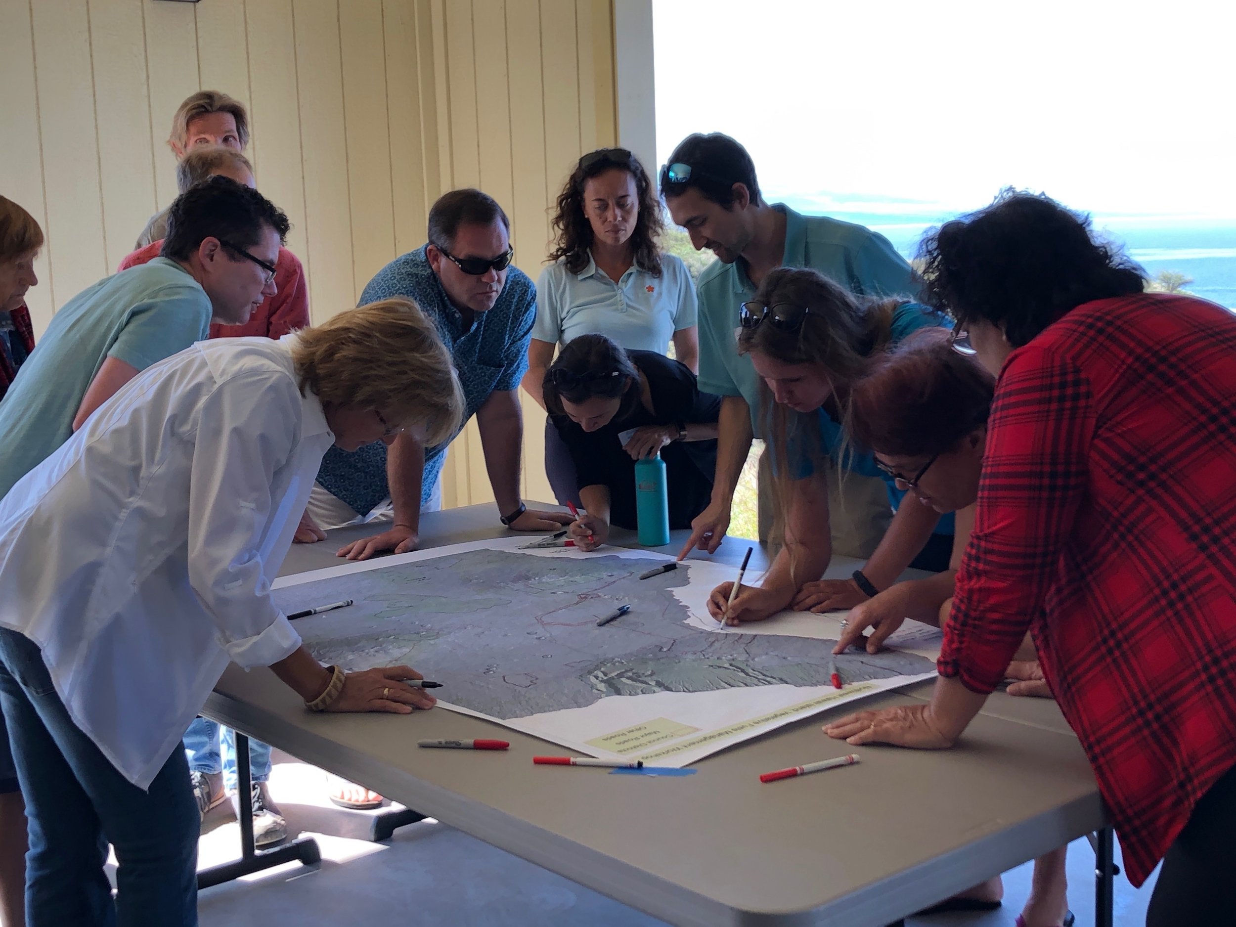 Hawaii Island Kailapa Vegetative Fuels Management Collaborative Action Planning Workshop_2_26_2019_39.jpg
