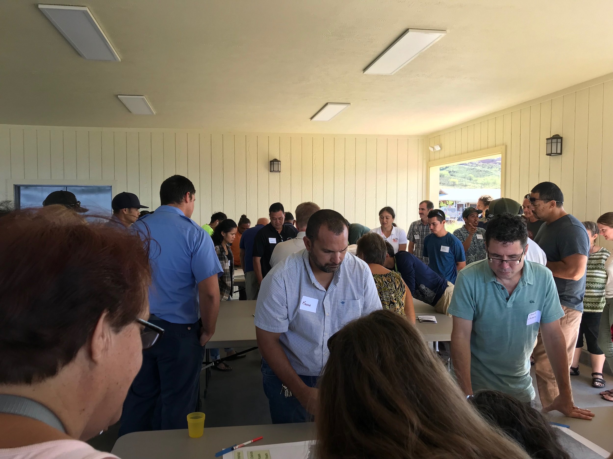 Hawaii Island Kailapa Vegetative Fuels Management Collaborative Action Planning Workshop_2_26_2019_47.jpg