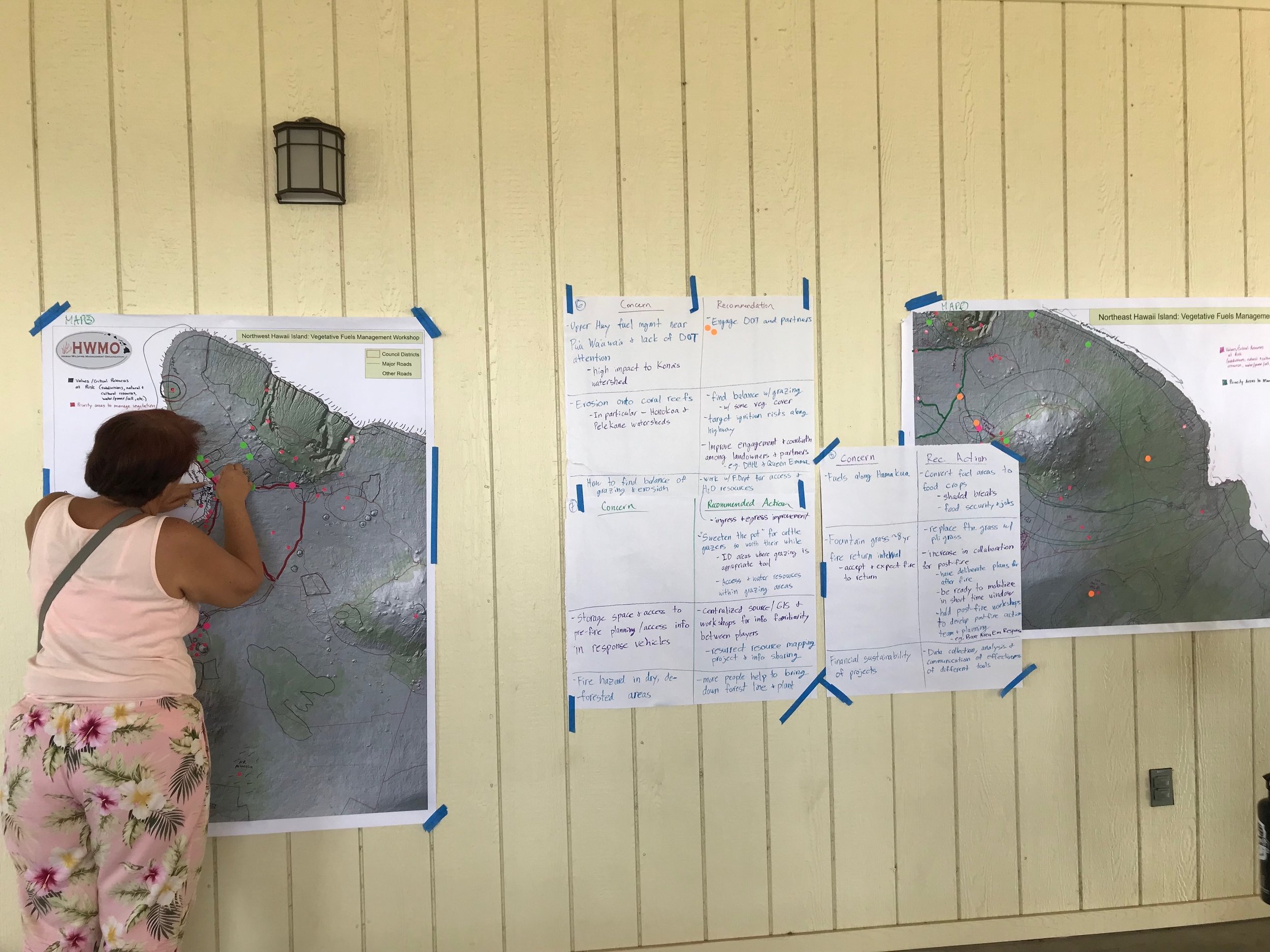 Hawaii Island Kailapa Vegetative Fuels Management Collaborative Action Planning Workshop_2_26_2019_70.jpg