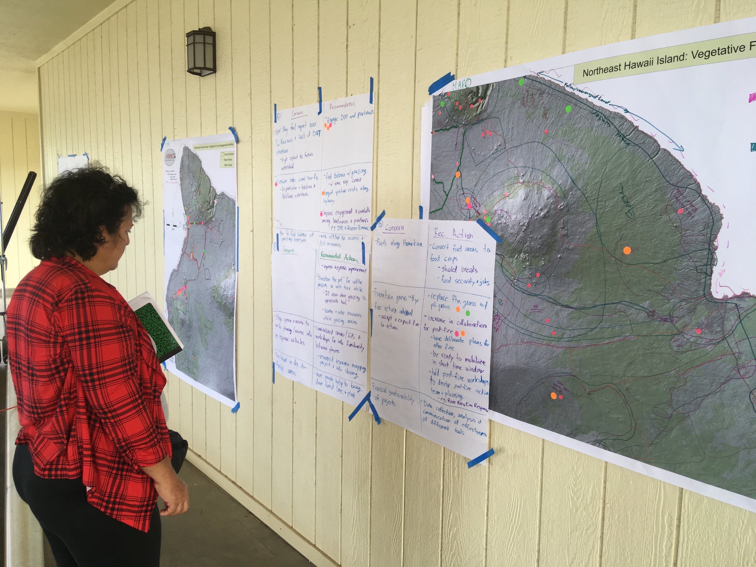 Hawaii Island Kailapa Vegetative Fuels Management Collaborative Action Planning Workshop_2_26_2019_73.jpg