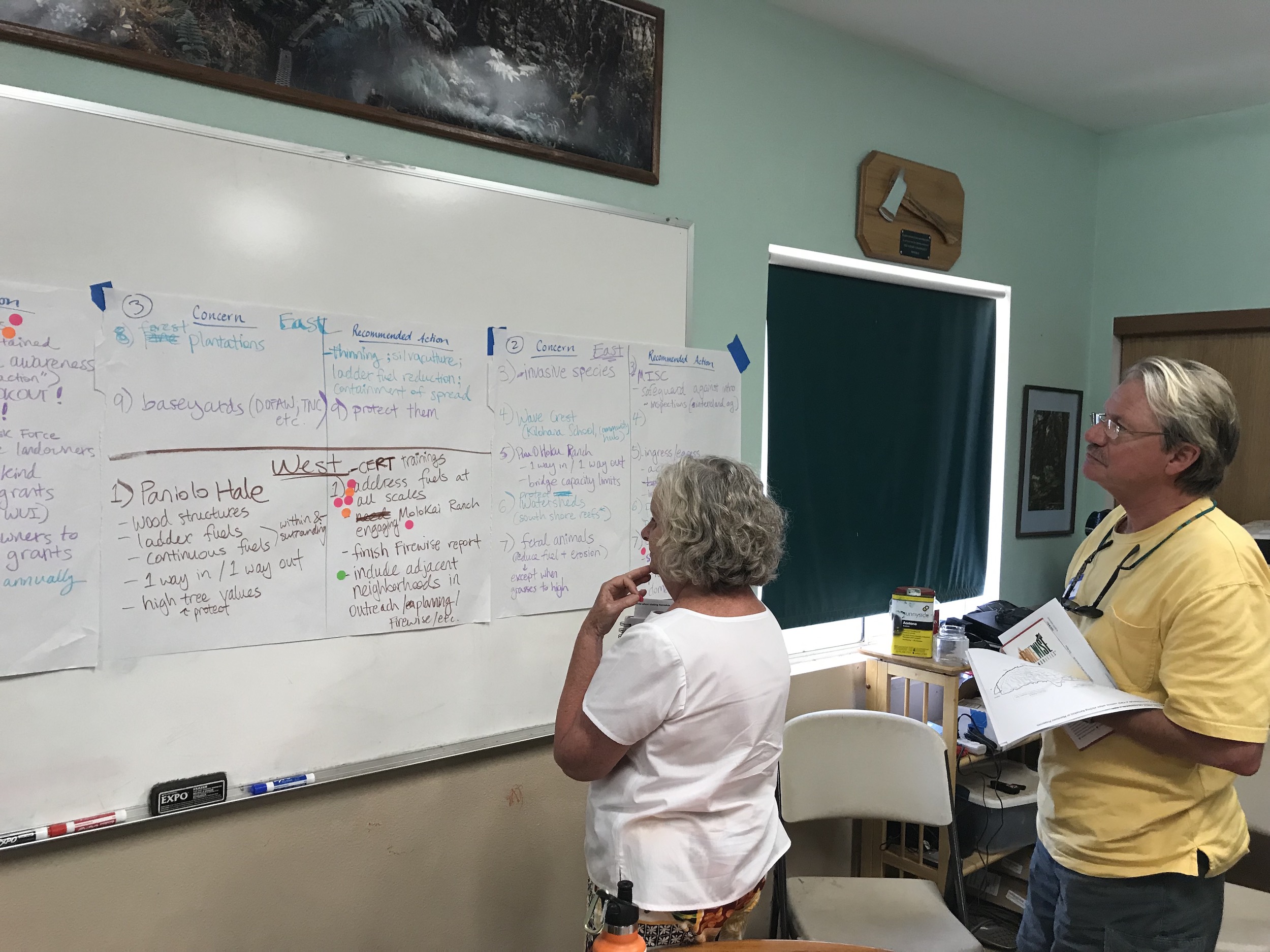 Molokai Vegetative Fuels Management Collaborative Action Planning and Mapping Workshop_4_2_2019_28.jpg