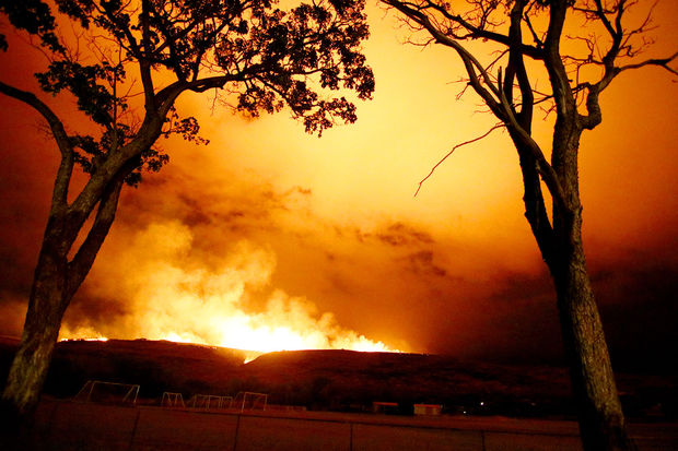 Ready Set Go News Center Hawaii Wildfire Management Organization