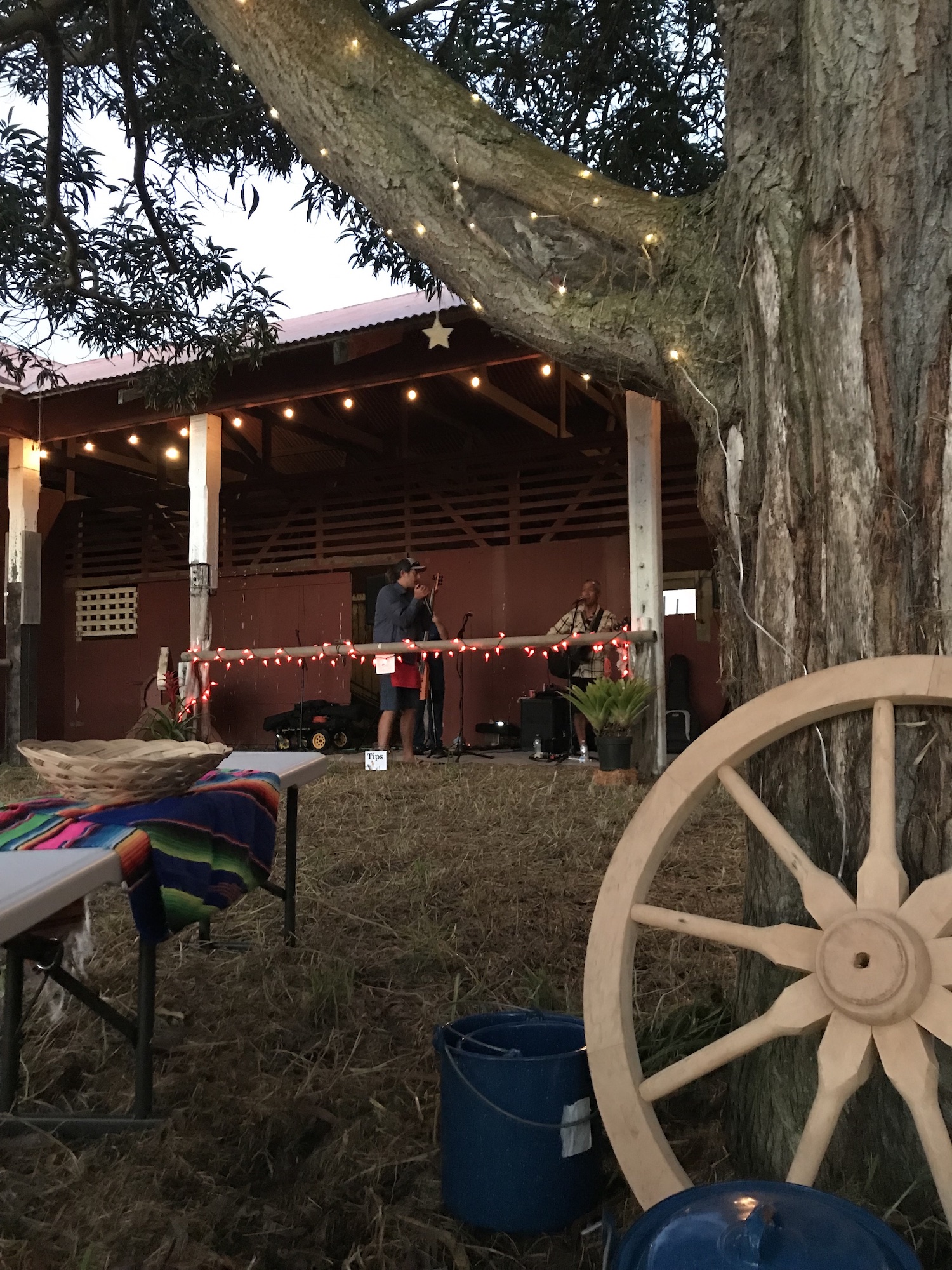 2nd Annual Firefighter Chili Cookoff for Wildfire Prevention_11_3_2018_43 copy.JPG