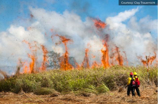 Stubborn grass fires being fueled by dry, windy conditions