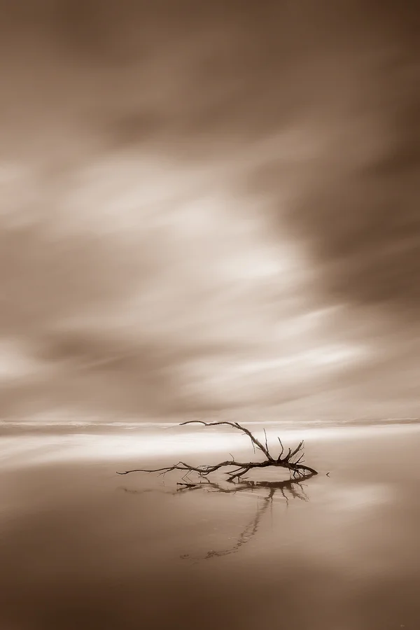 sorrow