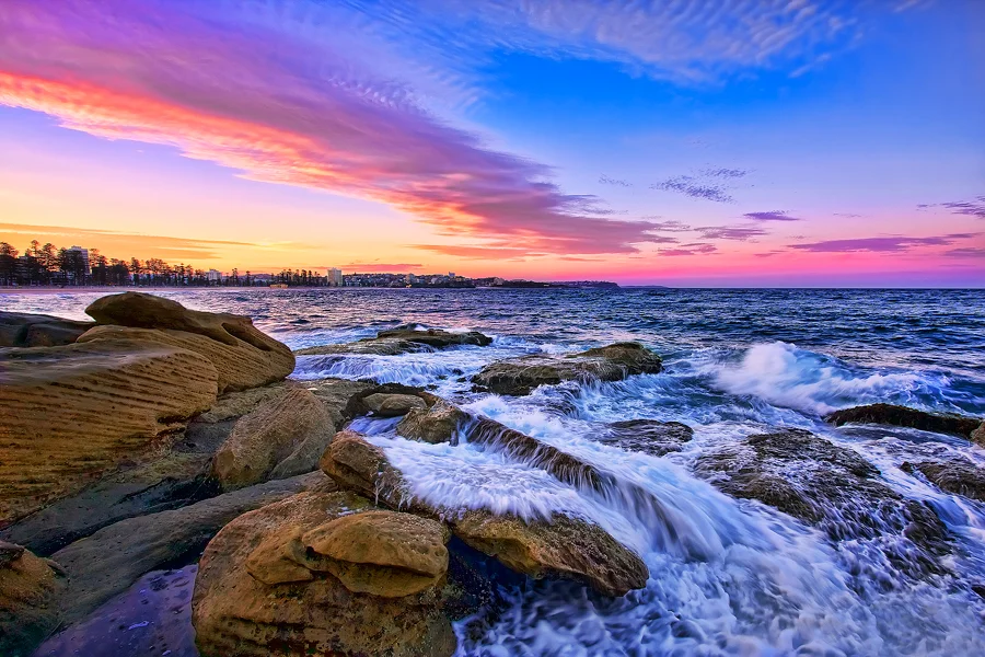 magenta manly