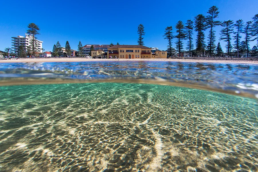 steyne stalker