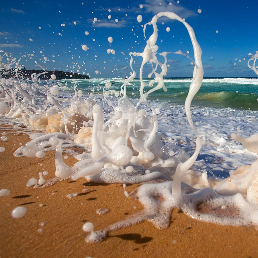 sand squabble
