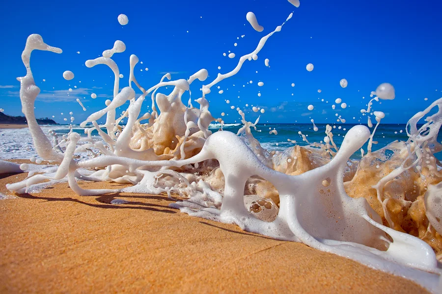 Beach Party.jpg