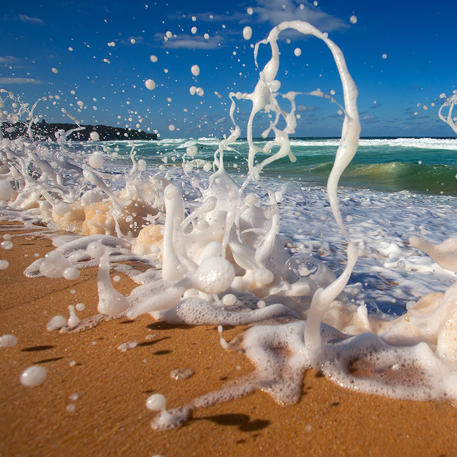 sand squabble.jpg