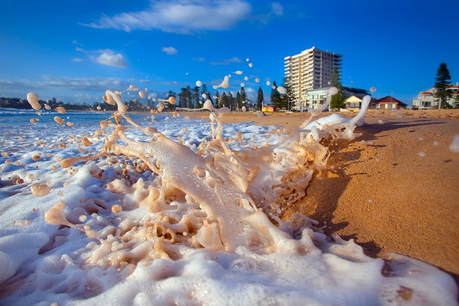 Good Morning Queenscliff.jpg