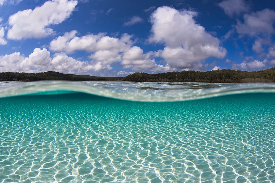 patterns of paradise.jpg