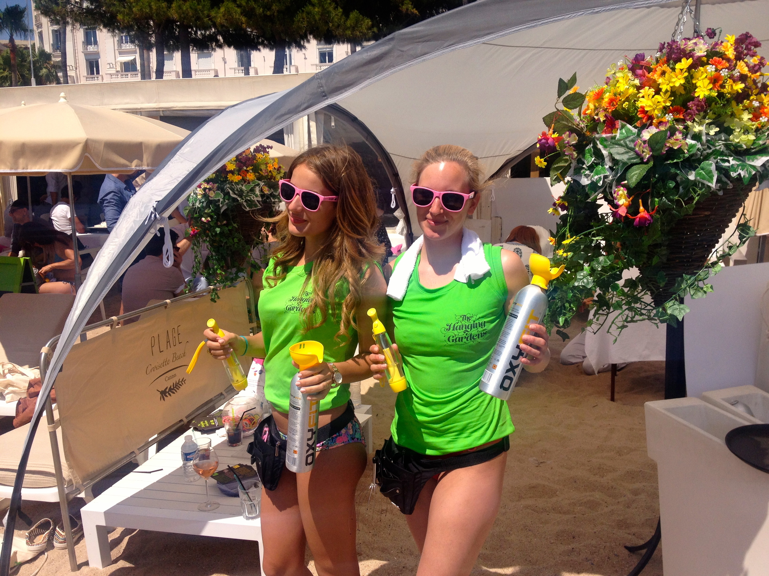 Vitality Assistants at the ready