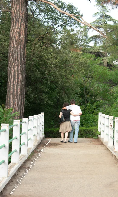 Botanic garden 4.jpg