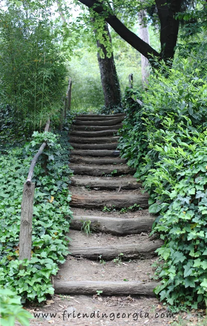 Botanic Garden 2.jpg