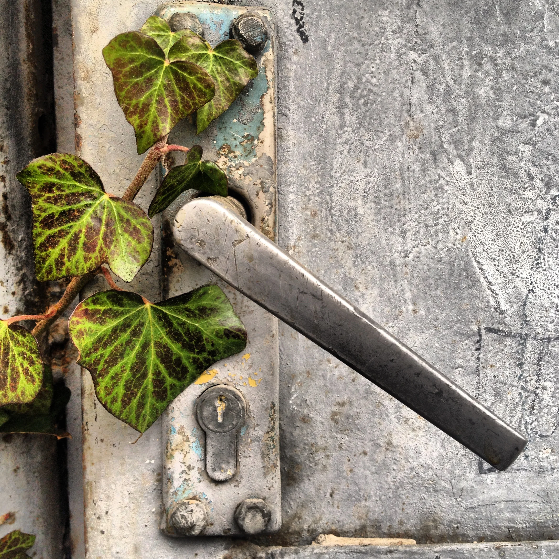 Очень не парадный вход