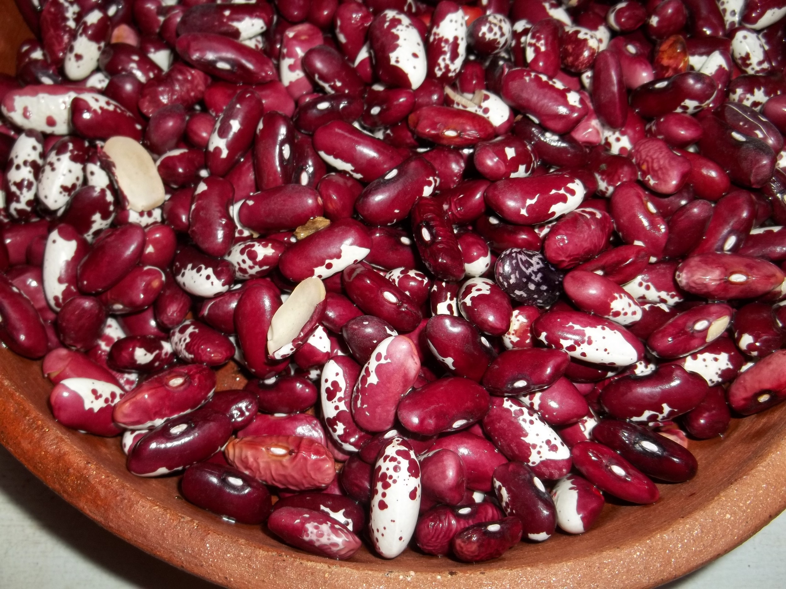 kidney-beans-for-lobio-recipe.jpg