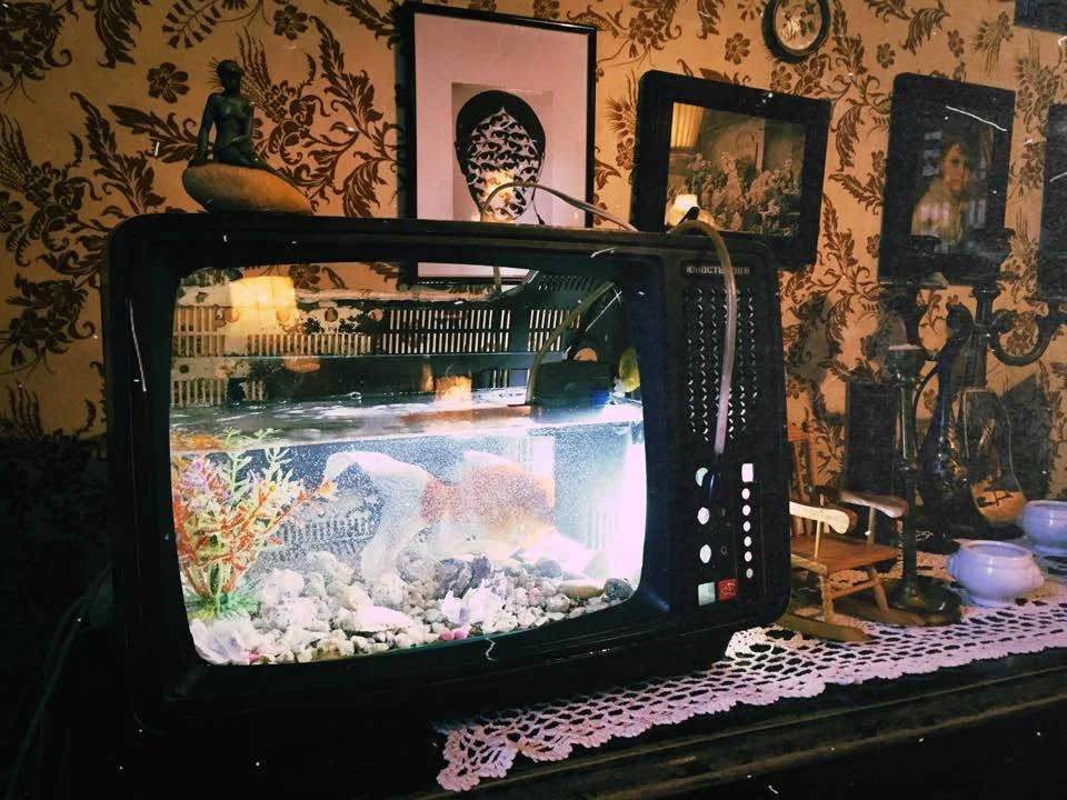 Тбилиси: 6 кафе и ресторанов с любопытным интерьером