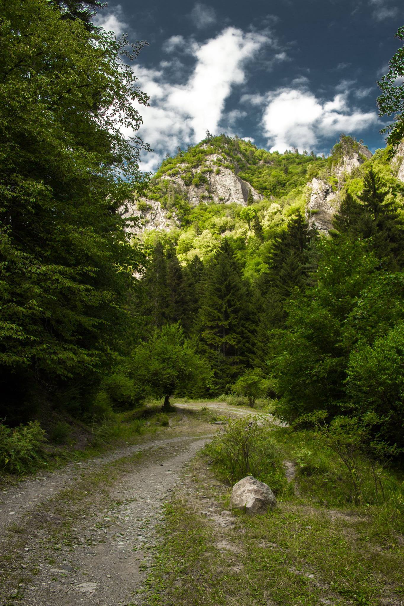 12 заповедных мест в Грузии, в которых вы почувствуете гармонию