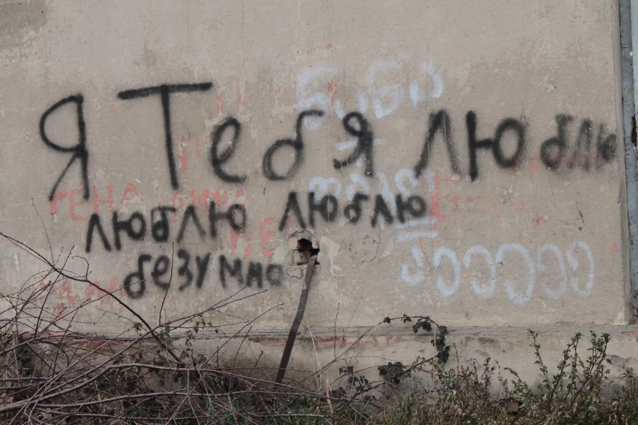 Люблю-люблю-люблю - авторская колонка о жизни в Грузии