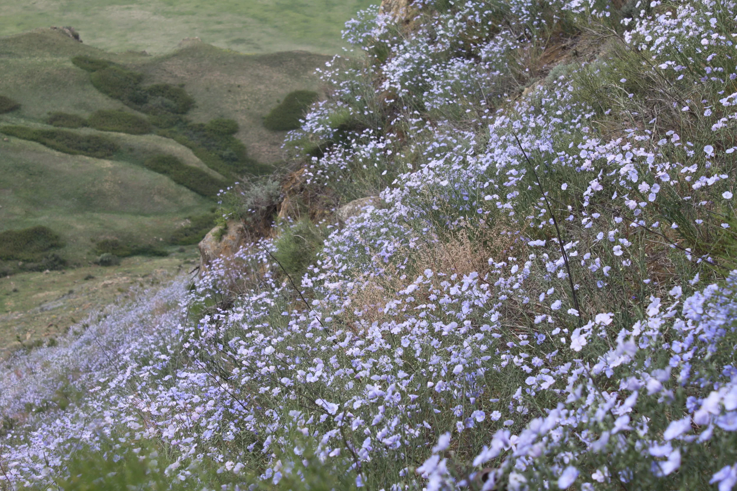 Давид Гареджи весной - фото, видео, впечатления