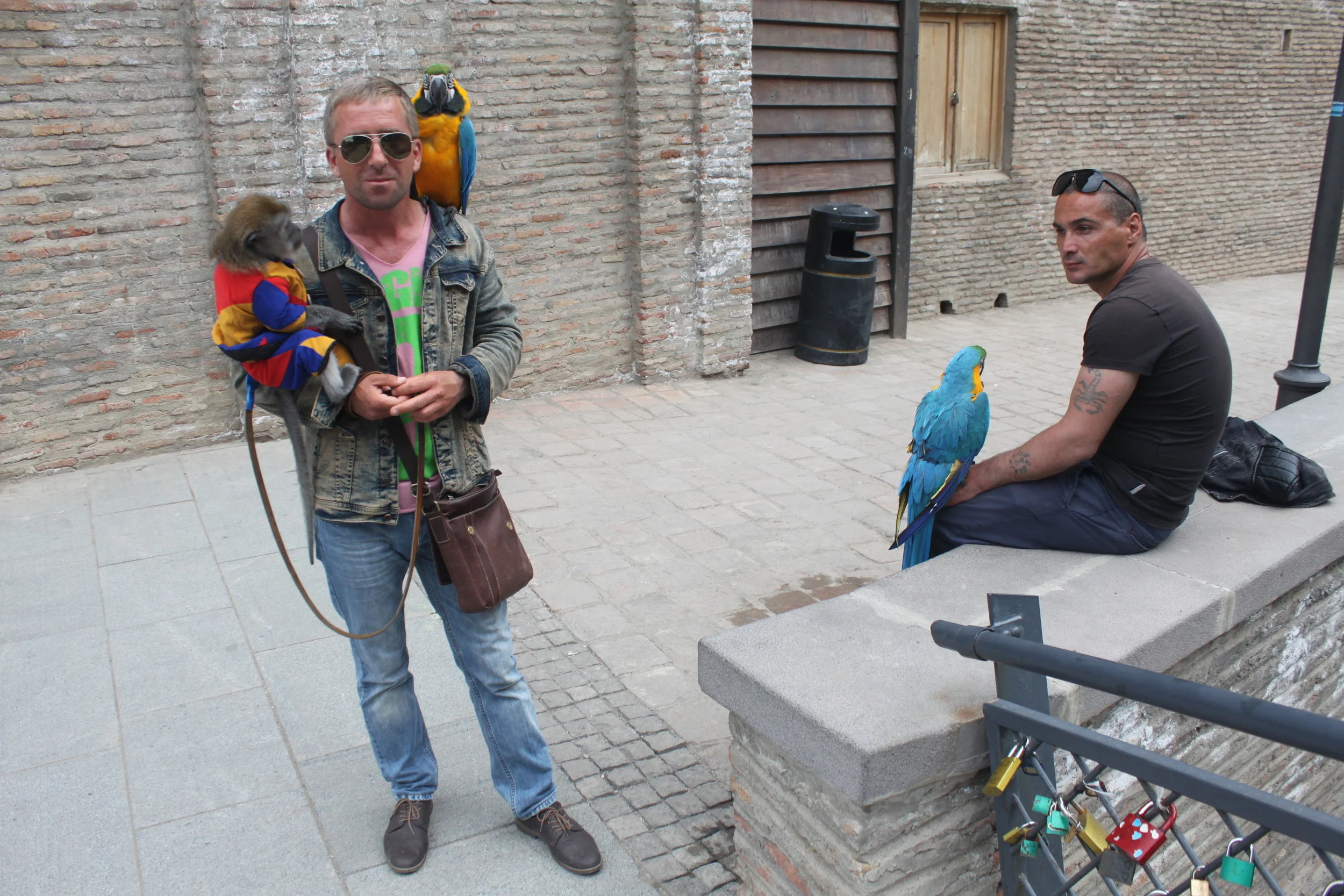 Серега, Ника, два попугая и макака