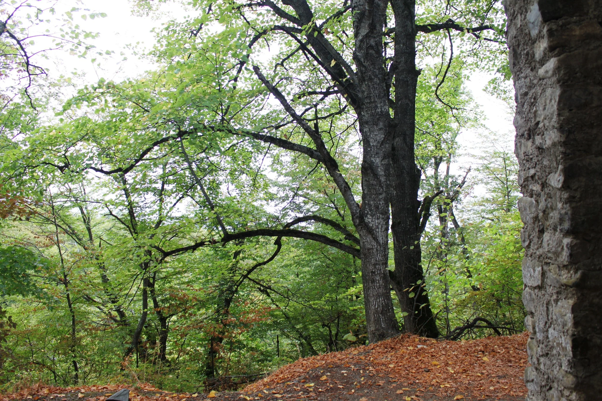 Два храма Шуамта и две истории отсюда