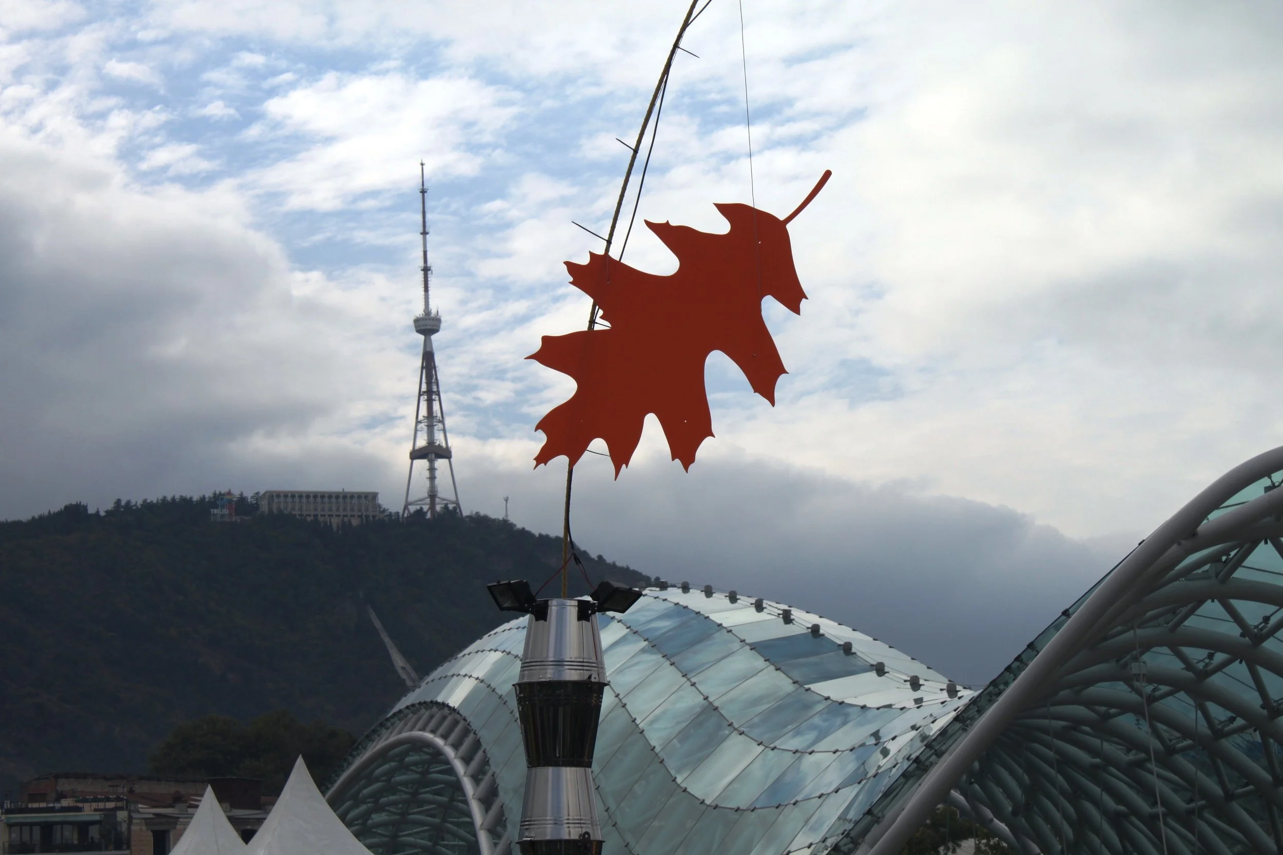 Сравнительная Тбилисобология